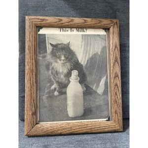 Vintage Cat Ephemera Newspaper Magazine Clipping Framed Art